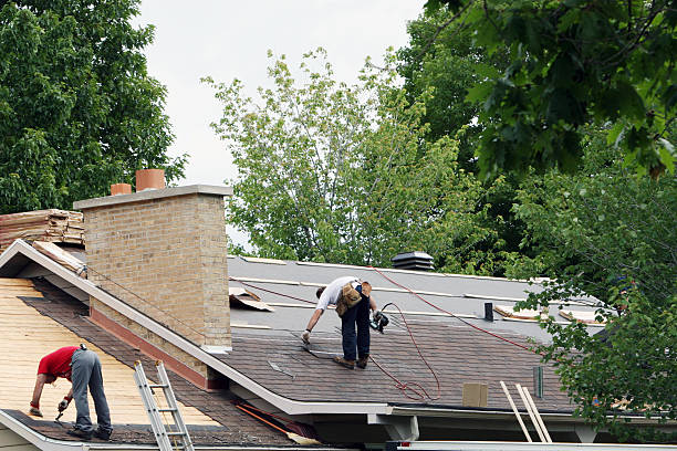 Best Gutter Installation and Roofing  in Belmont, MS