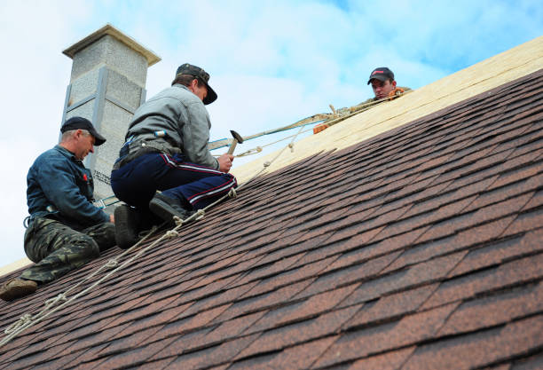 Best Storm Damage Roof Repair  in Belmont, MS